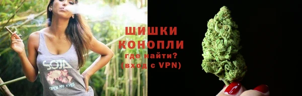 spice Арсеньев