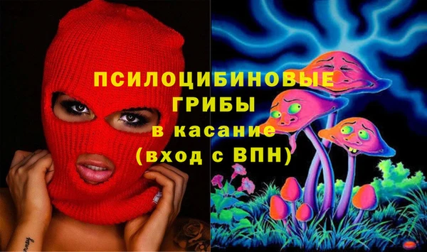 spice Арсеньев
