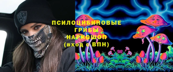 spice Арсеньев