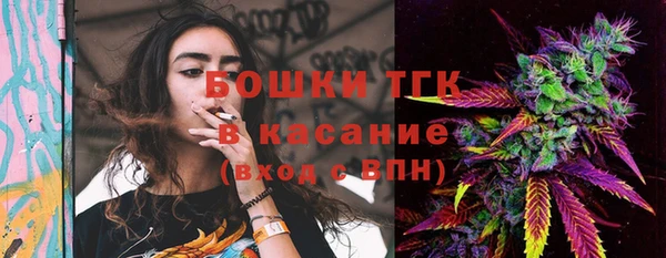 гашик Аркадак