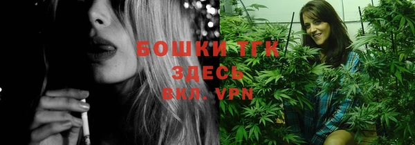 гашик Аркадак