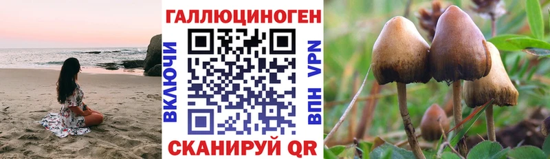 OMG маркетплейс  Северо-Курильск  Галлюциногенные грибы мицелий 
